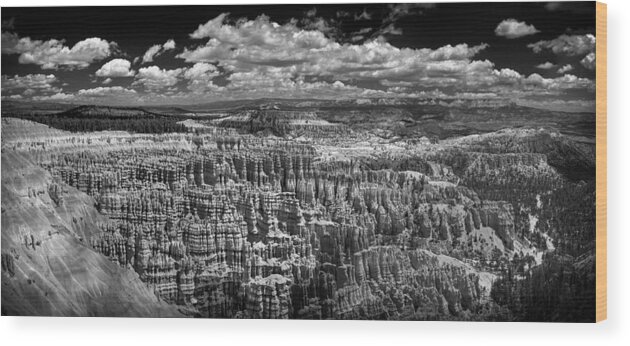 Bryce Wood Print featuring the photograph Bryce Canyon - Black and White by Larry Carr