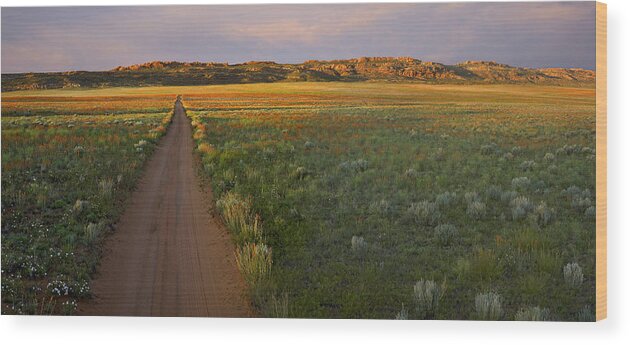 00175239 Wood Print featuring the photograph Globemallow Clusters And Dirt Road Salt by Tim Fitzharris