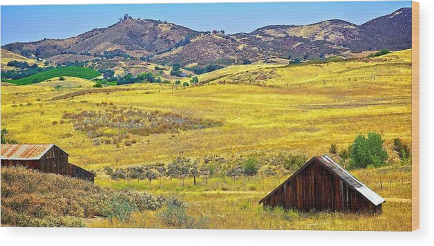 Landscape Wood Print featuring the photograph Golden Hills by Joseph Urbaszewski