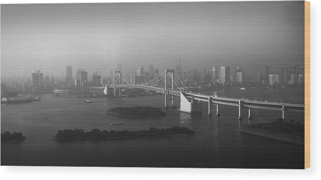 Tokyo Wood Print featuring the photograph Grand View of Tokyo by Naxart Studio