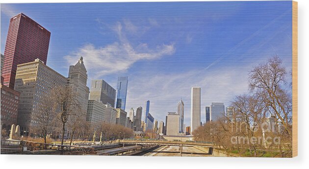 Grant Park Wood Print featuring the photograph Grant Park Chicago by Dejan Jovanovic