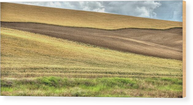 Ag Wood Print featuring the photograph Ripening Wheat Cloudy Sky Two #2 by Jerry Sodorff