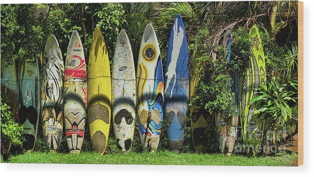 Hawaii Islands Wood Print featuring the photograph Surfboard Fence Maui Hawaii #1 by Peter Dang