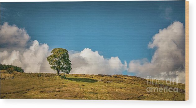 Airedale Wood Print featuring the photograph Bronte Walk #4 by Mariusz Talarek