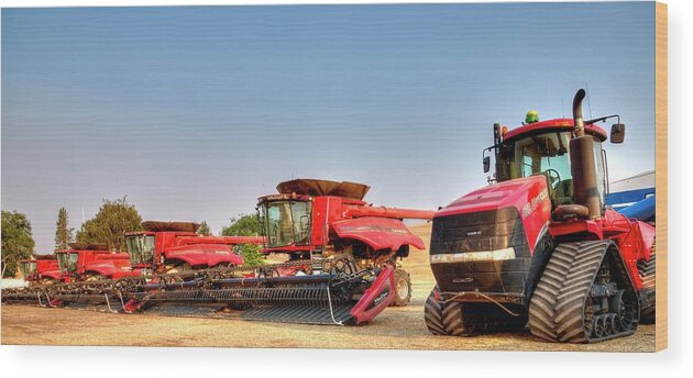 Wheat Wood Print featuring the photograph 550 And Four 8240 by Jerry Sodorff