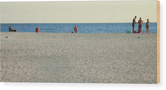  Wood Print featuring the photograph A Fine Day At The Beach by Ginny Schmidt
