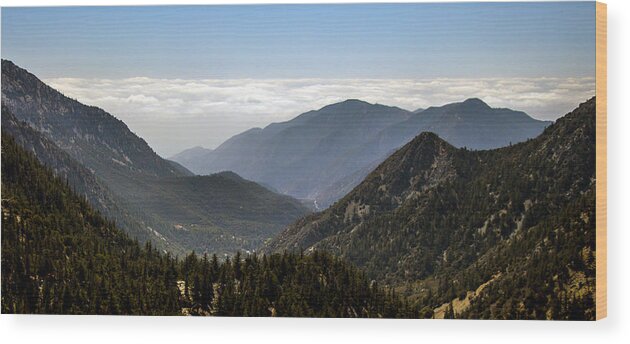 Sky Wood Print featuring the photograph A Lofty View by Ed Clark