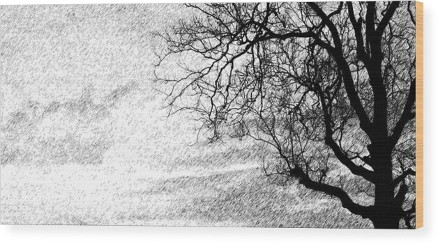 Sky Wood Print featuring the photograph Black Rain by Edward Smith