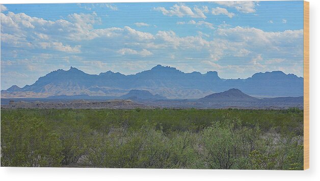Landscape Wood Print featuring the photograph Chisos Mountains by Alan Lenk