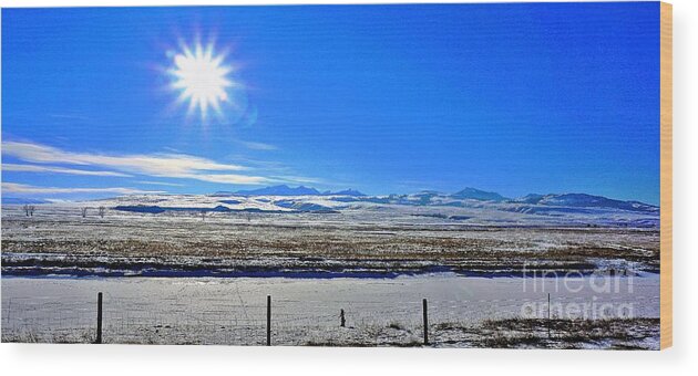 Landscape Wood Print featuring the photograph Cold sunshine by Merle Grenz