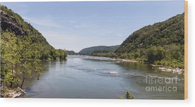 Harpers Ferry Wood Print featuring the photograph Confluence of the Shenendoah River and Potomac River by Thomas Marchessault