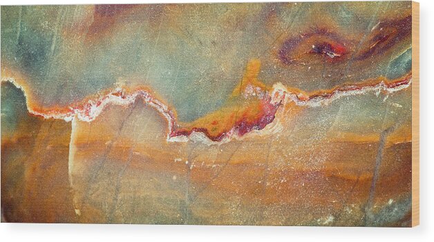 Macro Wood Print featuring the photograph Earth Portrait 001-98 by David Waldrop