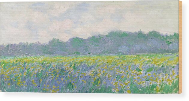 Field Wood Print featuring the painting Field of Yellow Irises at Giverny by Claude Monet