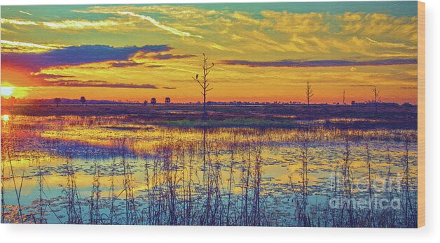 Nature Wood Print featuring the photograph Florida Nature Paradise 2 by DB Hayes
