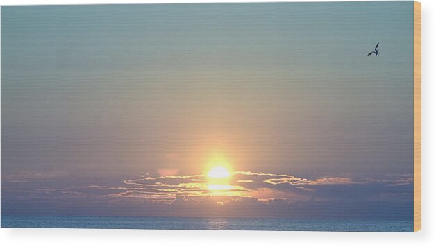Sunrise Wood Print featuring the photograph Fly Over by Newwwman