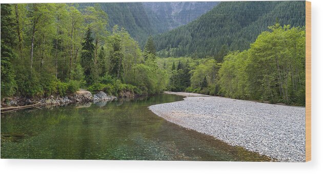 Alnus Rubra Wood Print featuring the photograph Gold Creek Panoramic by Michael Russell