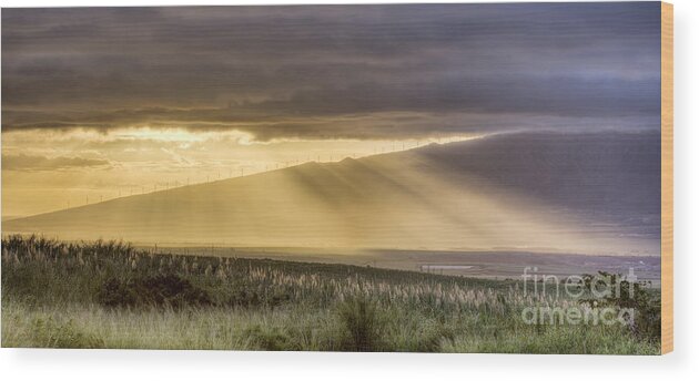 Rays Of Light Wood Print featuring the photograph Maui Sunset God Rays by Dustin K Ryan