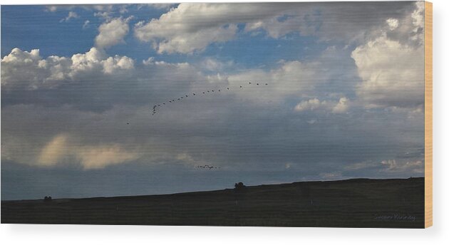 Montana Wood Print featuring the photograph Montana Sky 4 by Susan Kinney