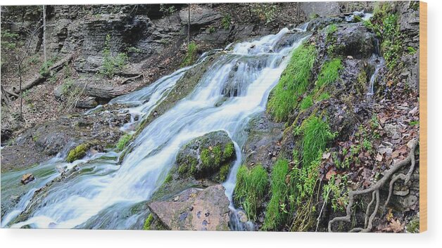 Water Wood Print featuring the photograph Mossy Spring Panorama by Bonfire Photography