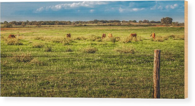 America Wood Print featuring the photograph Out For Dinner by Melinda Ledsome