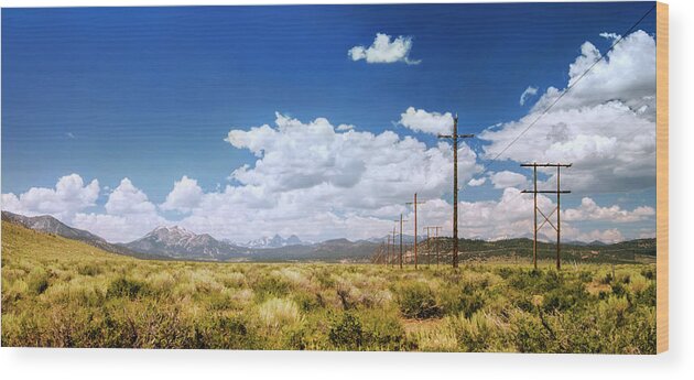Sierra Mountains Wood Print featuring the photograph Plains of the Sierras by Bryant Coffey