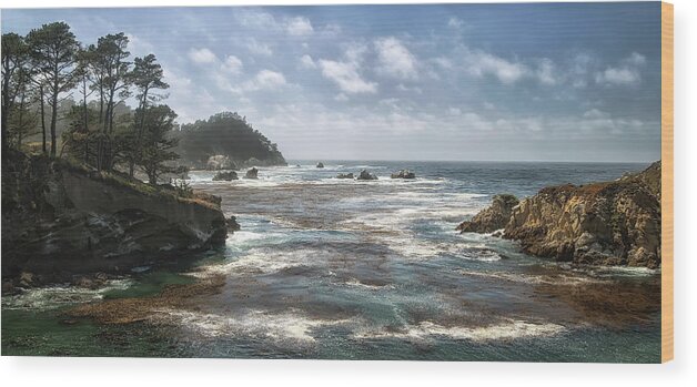 California Wood Print featuring the photograph Point Lobos by Art Cole