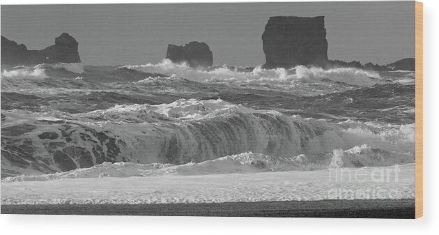 Dyrholaey Arch Wood Print featuring the photograph Reynisfjara Beach Vik Iceland 6845 by Jack Schultz