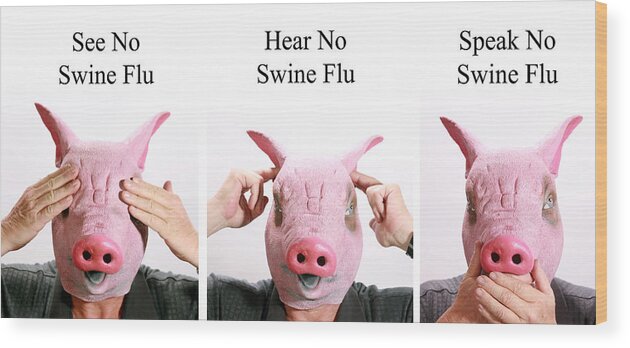 See No Swine Flu Wood Print featuring the photograph See no Swine flu Hear no Swine flu  Speak no Swine flu by Mike Ledray