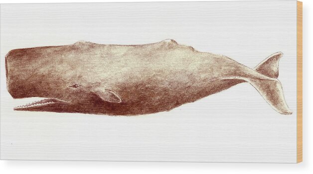 Whale Wood Print featuring the painting Sperm Whale by Michael Vigliotti