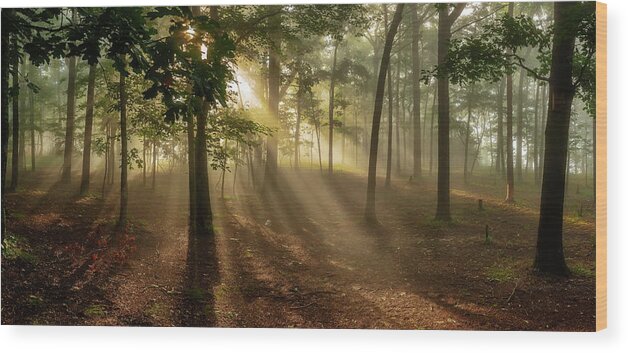 Home Wood Print featuring the photograph Sun and Clouds by Norman Peay