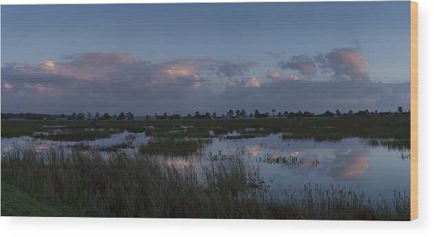 Colorful Wood Print featuring the photograph Sunrise over the wetlands by David Watkins