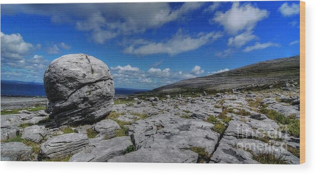 Limestone Wood Print featuring the photograph The Burren National park by Joe Cashin