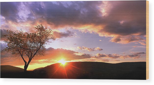 Landscape Wood Print featuring the photograph The Heart Tree by Everett Houser