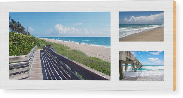 Beach Wood Print featuring the photograph Treasure Coast Florida Seascape Collage 2 by Ricardos Creations