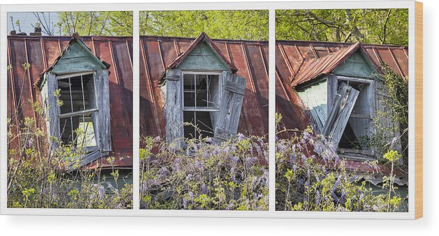 Window Wood Print featuring the photograph Triptych Windows by Denise Bush