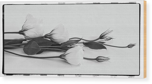 Lisianthus Wood Print featuring the photograph White Lisianthus by Sandra Foster