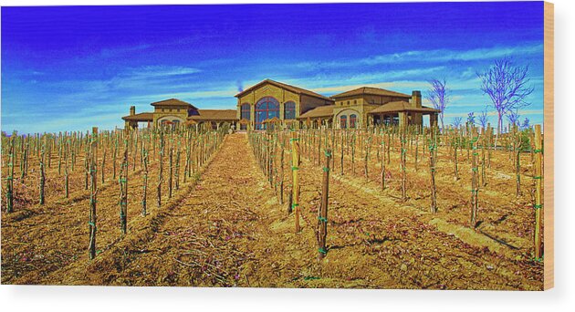 Farm Wood Print featuring the photograph Winery Farm by Joseph Hollingsworth