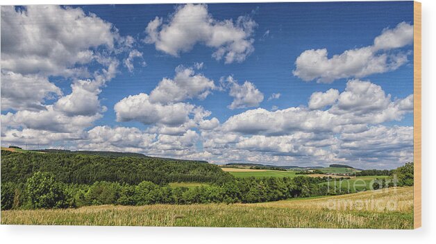 Hegau Wood Print featuring the photograph Walking in the Sunshine #1 by Bernd Laeschke