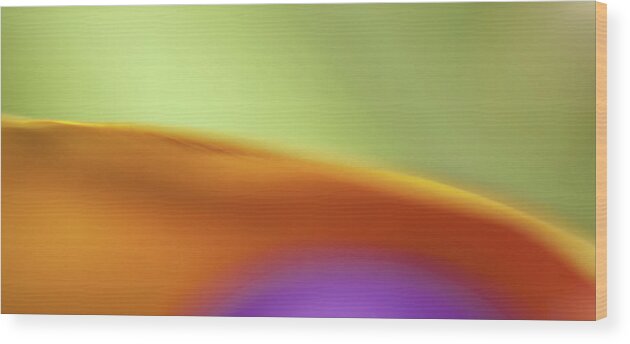 Curve Wood Print featuring the photograph Abstract Colored Forms And Light #36 by Ralf Hiemisch