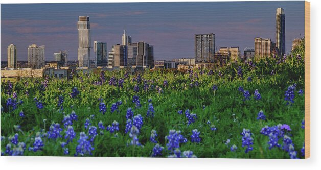 Austin Wood Print featuring the photograph Austin Blues by Johnny Boyd