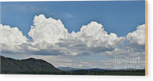 Clouds Wood Print featuring the photograph Clouds Are Forming by Dorrene BrownButterfield