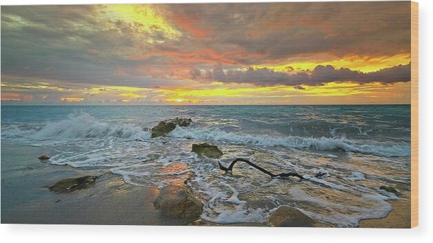 Carlin Park Wood Print featuring the photograph Colorful Morning Sky and Sea by Steve DaPonte