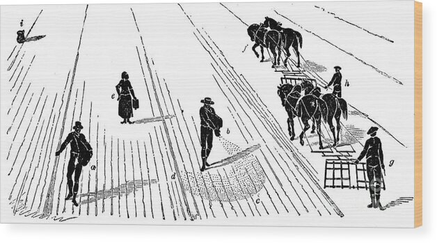 Horse Wood Print featuring the drawing Crop Rotation Sowing And Harrowing by Print Collector