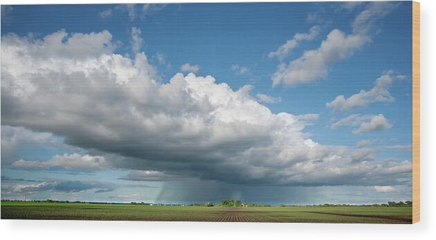 Panoramic Wood Print featuring the photograph Cumulus Cloud Landscape Rain Storm by Dlerick
