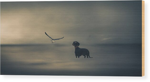 Animals Wood Print featuring the photograph Dreamer....just A Little Dreamer..... by Heike Willers