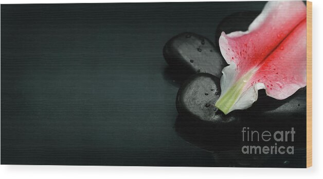 Spa Wood Print featuring the photograph Top view of spa stones and flower petal over black background by Jelena Jovanovic