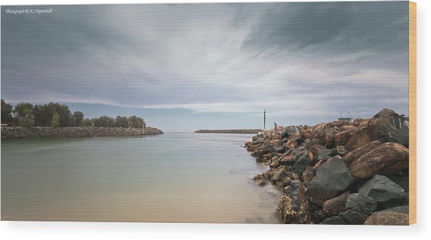 Tuncurry Rock Pool Wood Print featuring the digital art Tuncurry rock pool 372 by Kevin Chippindall