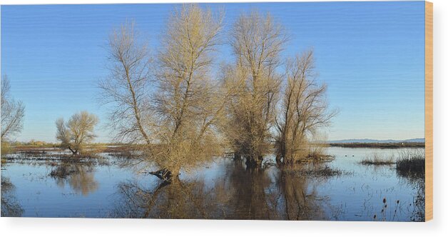 Wetlands Wood Print featuring the photograph Wetland Story by Alan C Wade