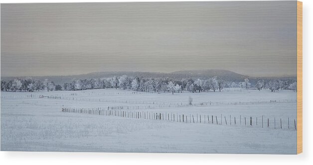 Colorado Wood Print featuring the photograph Winter Whites by Jen Manganello