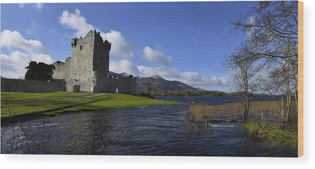 Ross Wood Print featuring the photograph ROSS Castle #1 by David Brown